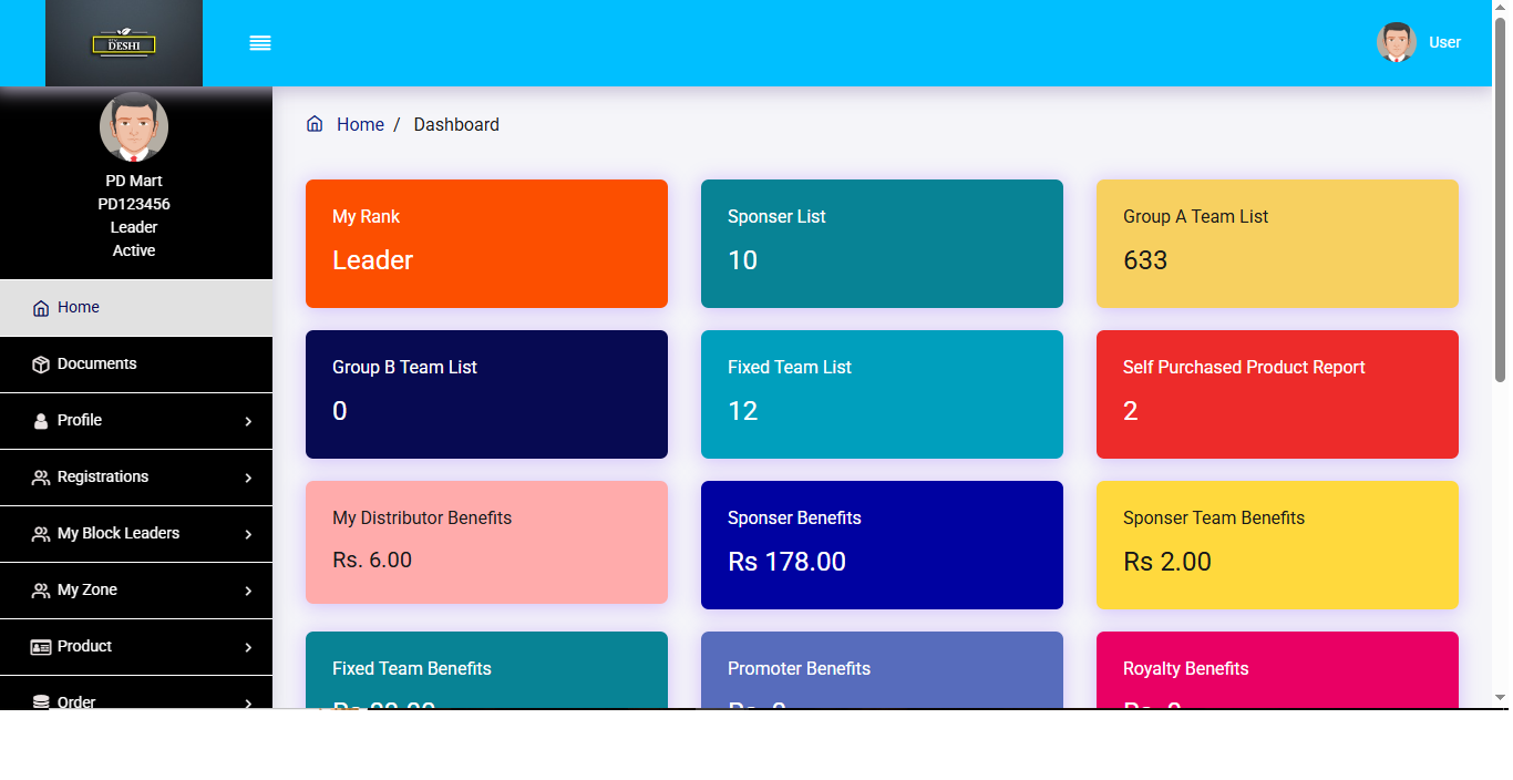 User Dashboard view 4